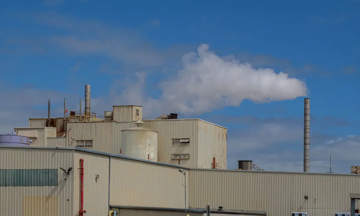 Odori industriali: perché odore e concentrazione non sono la stessa cosa
