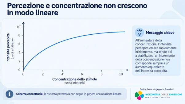 Grafico della relazione non lineare tra concentrazione dello stimolo e intensità percepita: la percezione cresce rapidamente e poi tende a stabilizzarsi